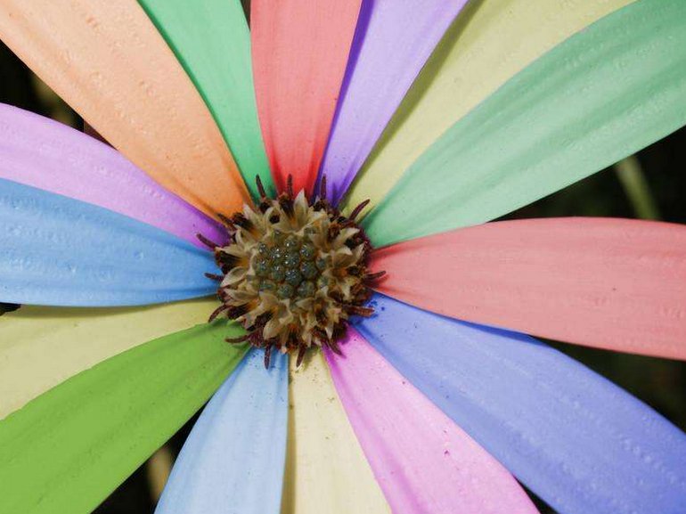 多彩的近义词有哪些？