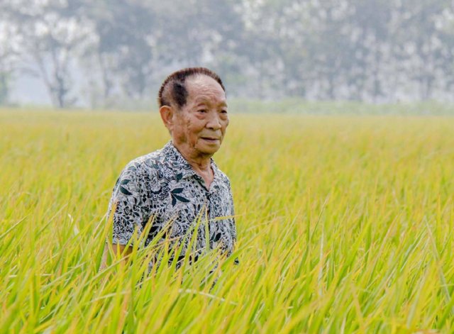 快乐大本营停播一期，停播的原因是什么？