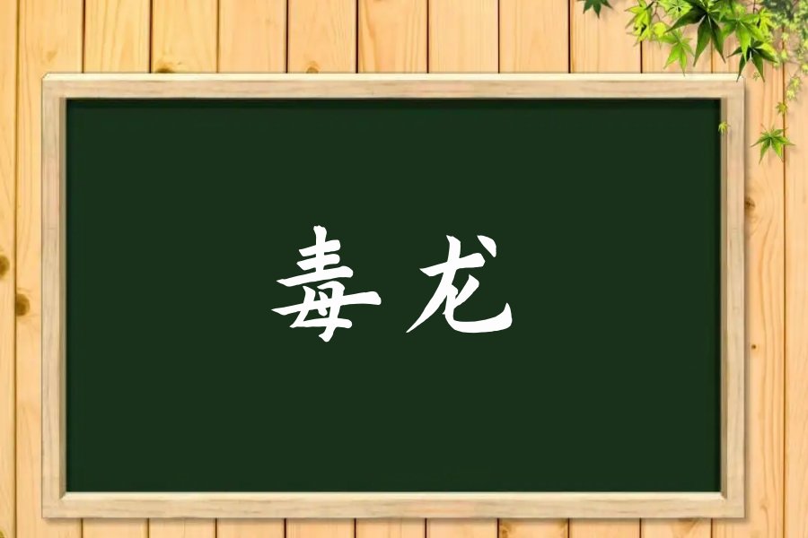 毒龙是什么意思