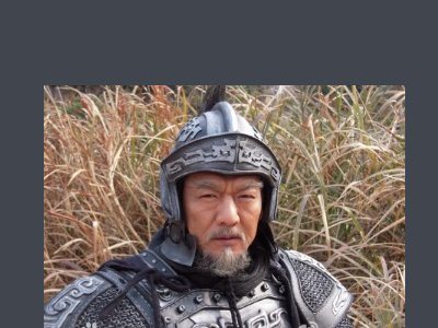 大秦帝国之纵横 演员表