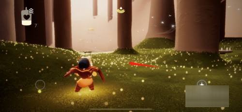 雨林密林遗迹在哪