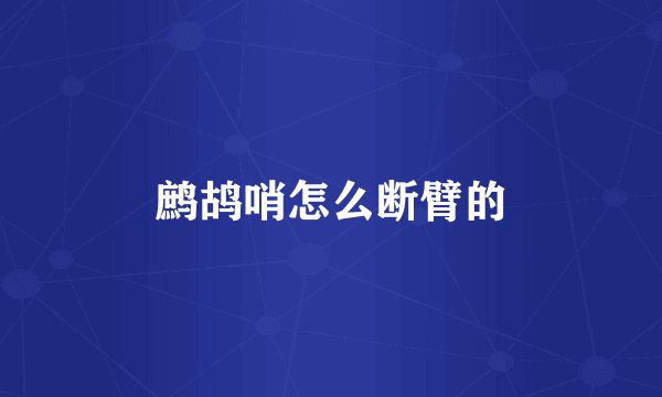 鹧鸪哨怎么断臂的