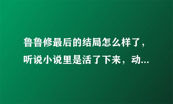鲁鲁修最后的结局怎么样了，听说小说里是活了下来，动漫里是生死不明？