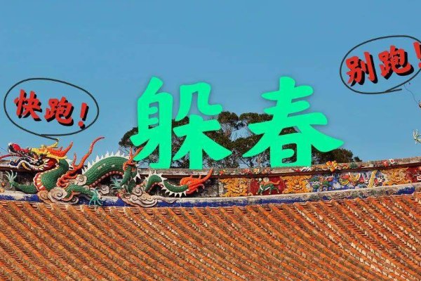 躲春可以玩手机吗