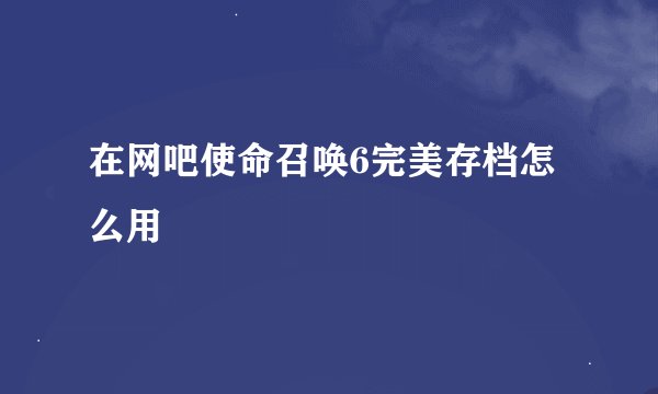 在网吧使命召唤6完美存档怎么用