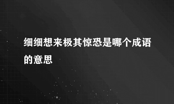 细细想来极其惊恐是哪个成语的意思