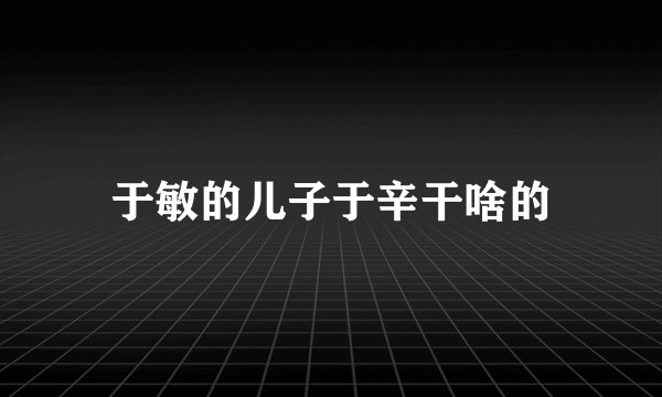 于敏的儿子于辛干啥的