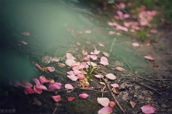 无可奈何花落去的全诗