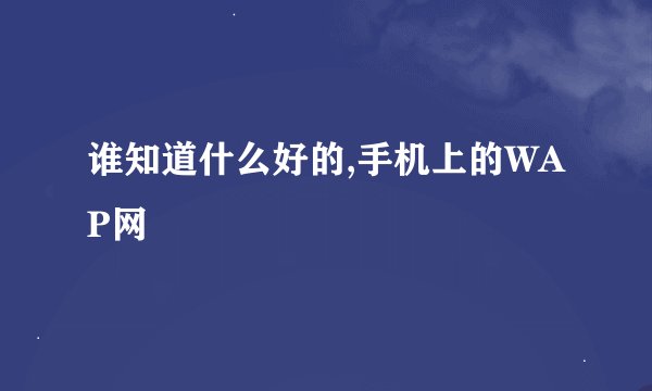 谁知道什么好的,手机上的WAP网