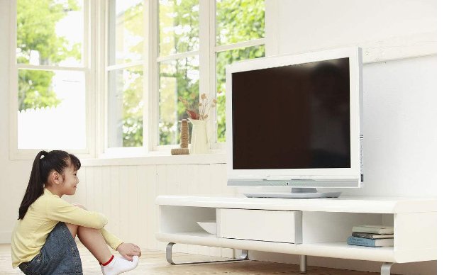 分量输入是什么？