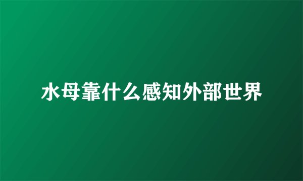 水母靠什么感知外部世界