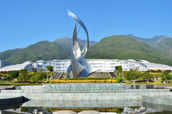 大理大学医学类录取分数线2023