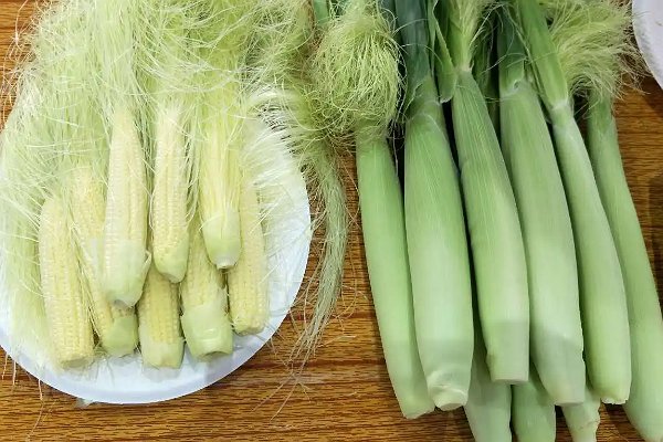 玉米笋是玉米小时候吗蚂蚁庄园