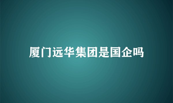 厦门远华集团是国企吗
