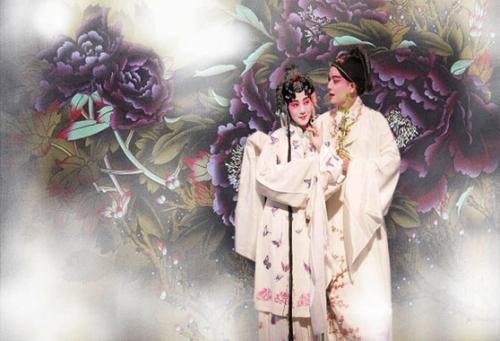 情不知所起一往情深是什么意思？