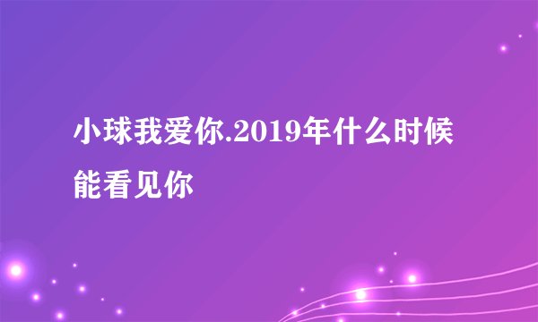 小球我爱你.2019年什么时候能看见你