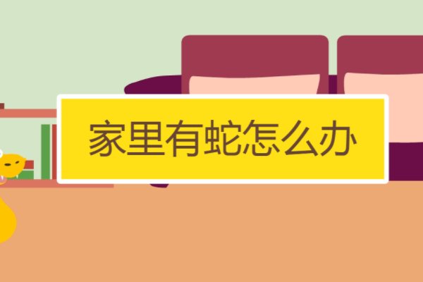 家里来蛇了有什么征兆好不好