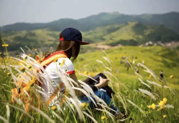 无处告别是什么意思