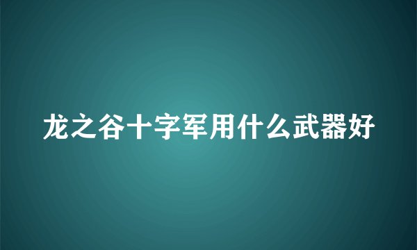龙之谷十字军用什么武器好