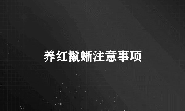 养红鬣蜥注意事项