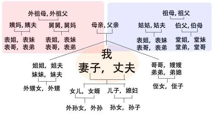 叔叔的老婆叫什么？