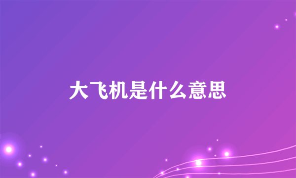 大飞机是什么意思