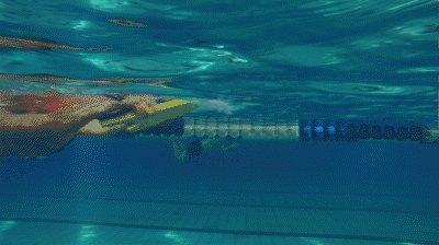 倒三角身材女生怎么减