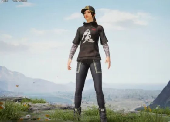 和平精英怎么踢人