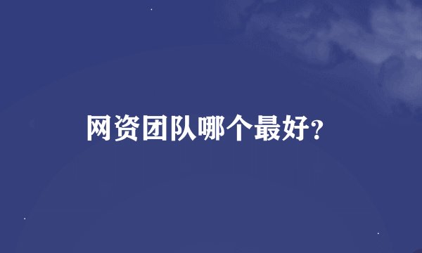 网资团队哪个最好？