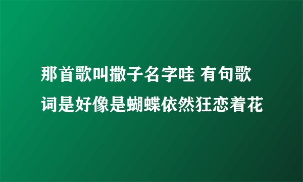 那首歌叫撒子名字哇 有句歌词是好像是蝴蝶依然狂恋着花