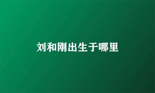 刘和刚出生于哪里