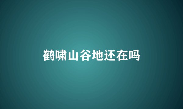 鹤啸山谷地还在吗