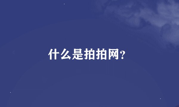 什么是拍拍网？