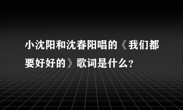 小沈阳和沈春阳唱的《我们都要好好的》歌词是什么？