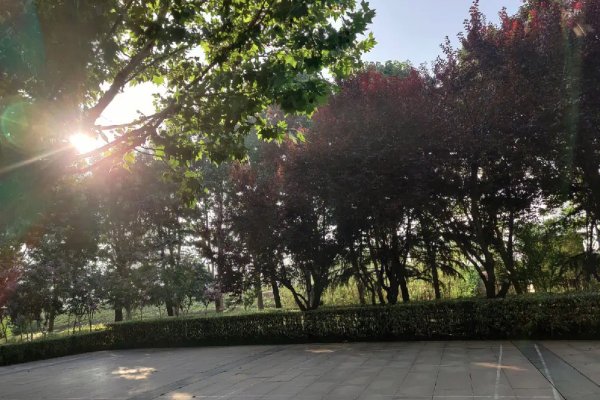 熹微是什么意思