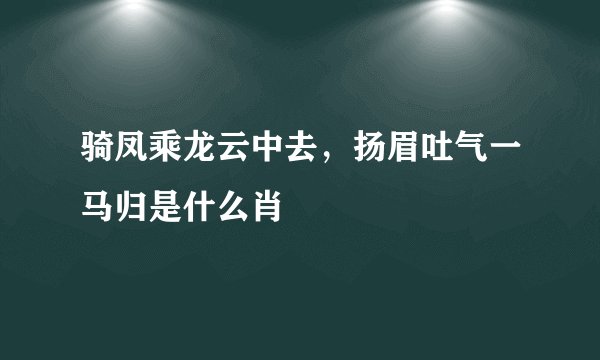 骑凤乘龙云中去，扬眉吐气一马归是什么肖