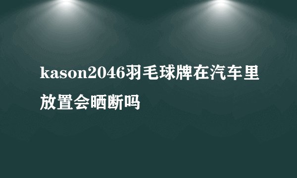 kason2046羽毛球牌在汽车里放置会晒断吗