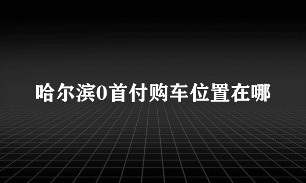 哈尔滨0首付购车位置在哪
