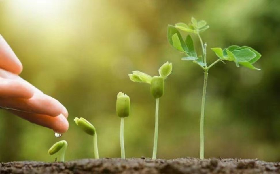 什么是心灵之旅?