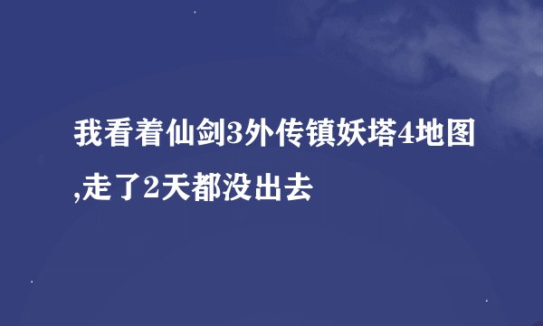 我看着仙剑3外传镇妖塔4地图,走了2天都没出去