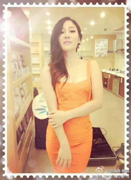 唐蔼靖的糖糖主要参演作品