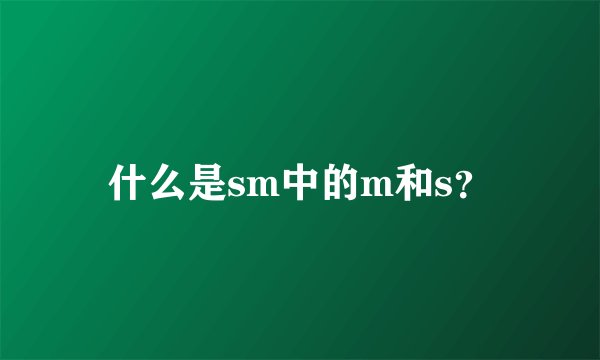 什么是sm中的m和s？