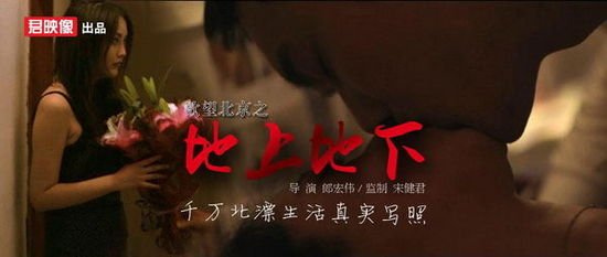 欲望北京之地上地下的介绍