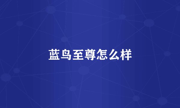 蓝鸟至尊怎么样