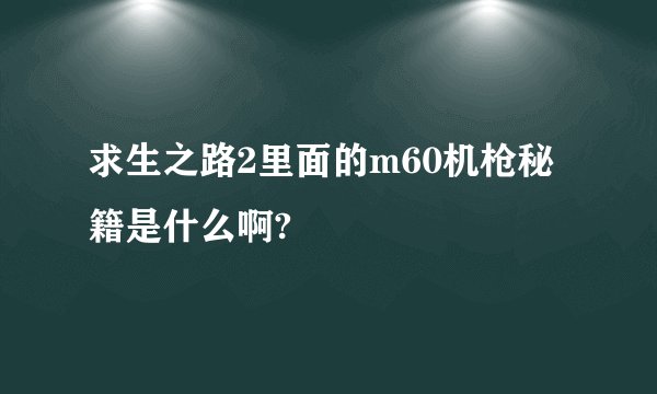 求生之路2里面的m60机枪秘籍是什么啊?