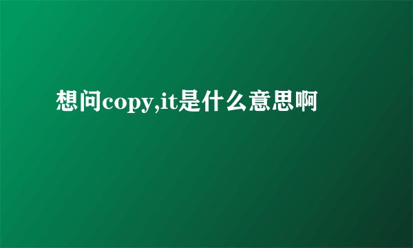 想问copy,it是什么意思啊