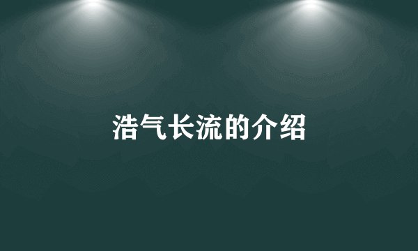 浩气长流的介绍