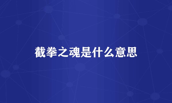 截拳之魂是什么意思