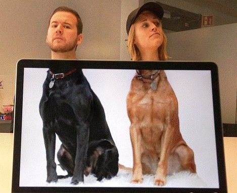 一对狗男女 打个成语