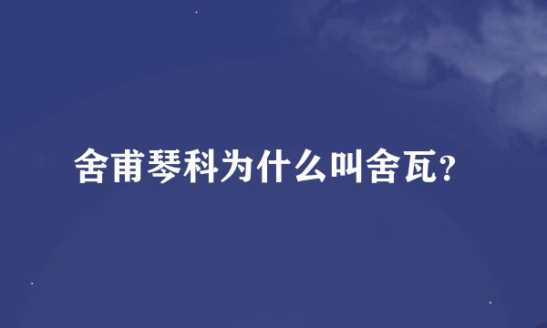 舍甫琴科为什么叫舍瓦？
